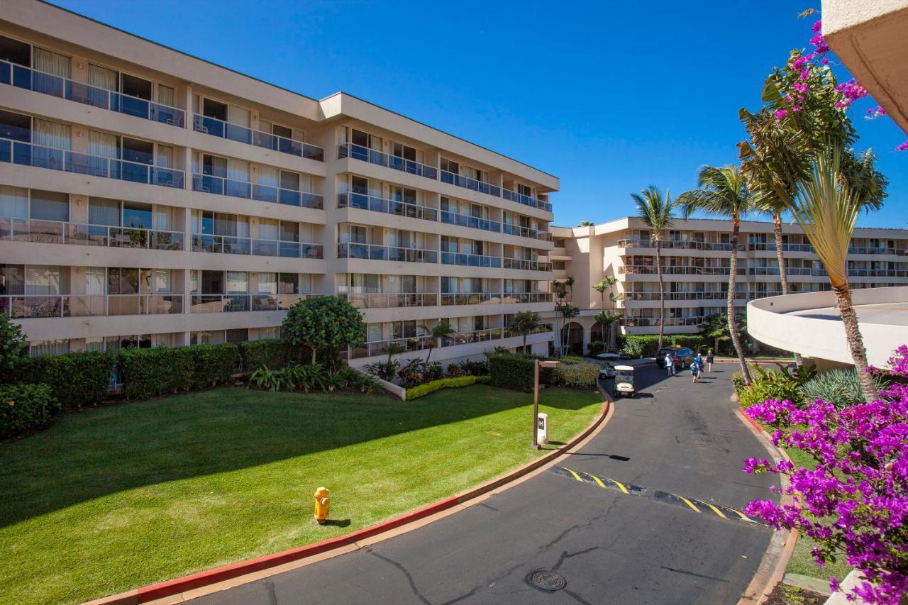 ויילי Maui Banyan H311 1Bd 2Ba 3 Min Walk To The Beach In The Heart Of South Kihei! מראה חיצוני תמונה