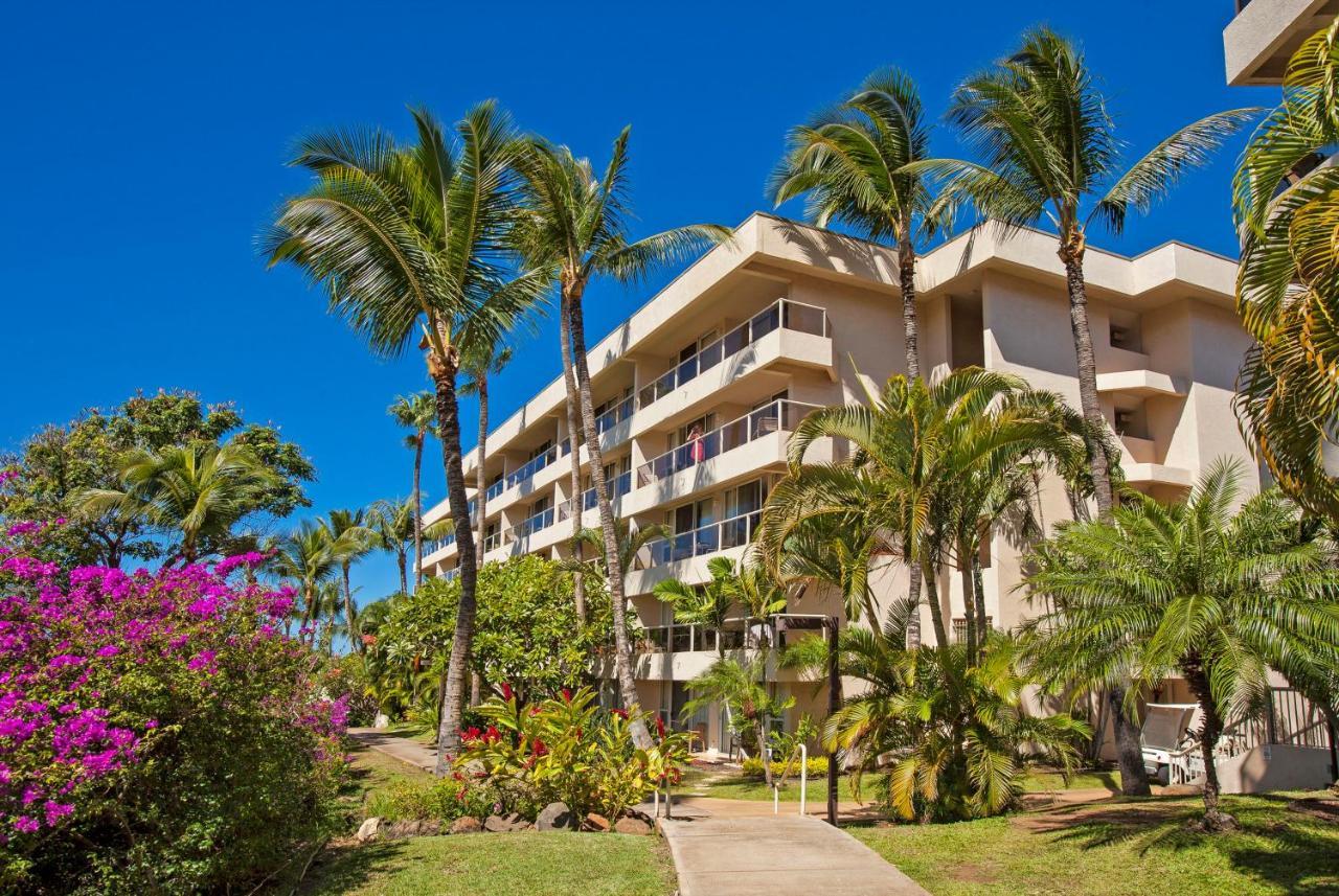 ויילי Maui Banyan H311 1Bd 2Ba 3 Min Walk To The Beach In The Heart Of South Kihei! מראה חיצוני תמונה